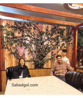 گل رونده مصنوعی برای کافه